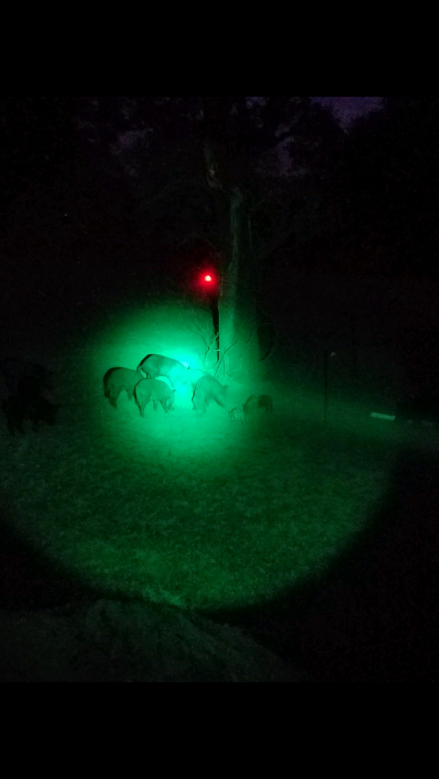 Game Alert® Stealth Hunter Kit in action!